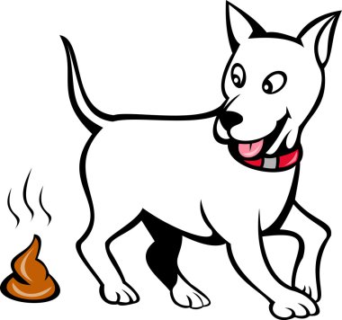 köpek poo üzerinde beyaz izole