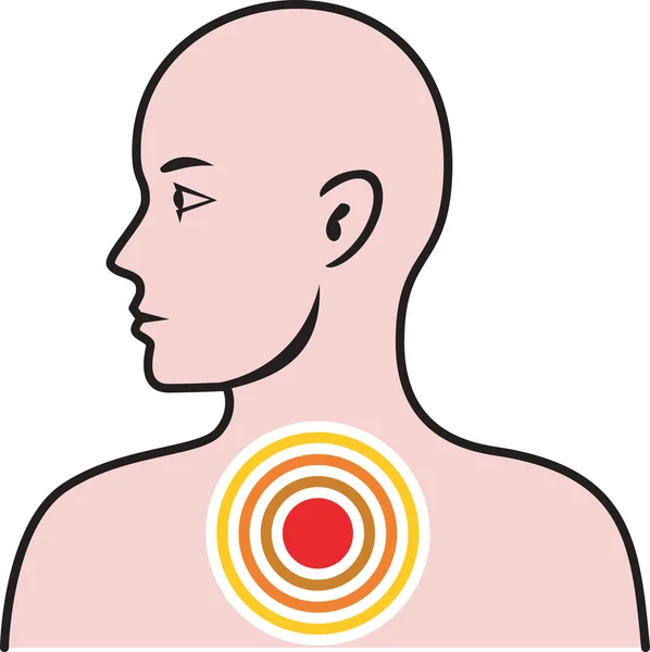Anatomia umana maschile — Vettoriale Stock