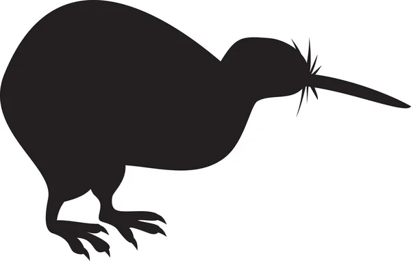 Kiwi-Vogel isoliert — Stockvektor