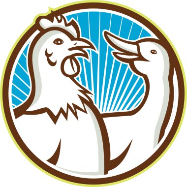 Kaz karikatür ile tavuk