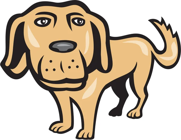 Retriever perro cabeza grande dibujos animados aislados — Vector de stock