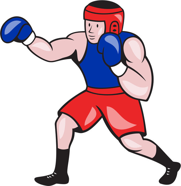 Amateur Boxer Boxing Cartoon