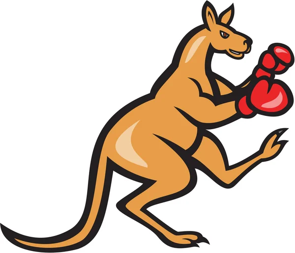 Kangaroo kick boxer boxning cartoon — Stock vektor