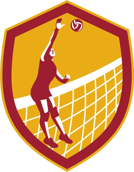 Volleyball Player Spike Ball Net Retro Shield — Stock Vector