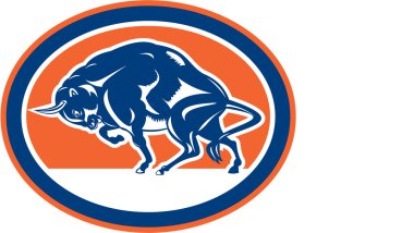 Avrupa Bizon Şarjı Oval Retro