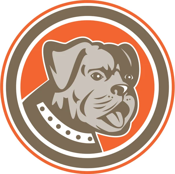 Bulldog hond bastaard hoofd mascotte cirkel — Stockvector