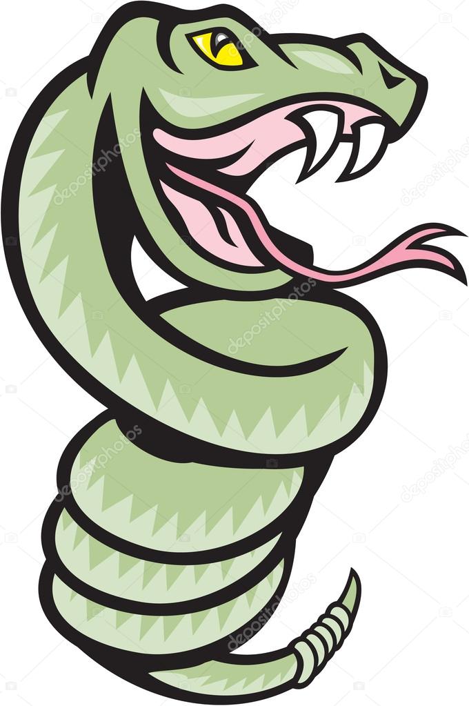 Rattle Snake Coiling Up Cartoon Stock Vector by ©patrimonio 51310671
