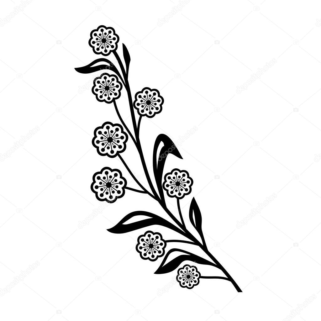 Retro style illustration of a flower of golden wattle or Acacia pycnantha, a tree of the family Fabaceae native to southeastern Australia on isolated background done in black and white.