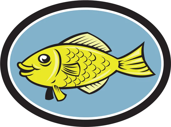 Gourami pescado vista lateral de dibujos animados ovalados — Vector de stock