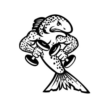 Kas kahverengi alabalık, salmo trutta ya da somon egzersizlerinin maskot çizgi filmlerindeki gibi önden izole edilmiş arka plandaki dambıl ağırlıklarını kaldırarak.