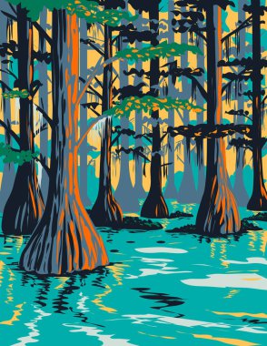 WPA poster art of Caddo Lake State Park with bald cypress trees on lake and bayou in Harrison and Marion County East Texas, United States of America USA done in works project administration style clipart