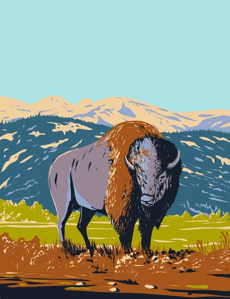 Wpa Poster Art North American Bison Plains Bison Roaming Prairie — стоковий вектор