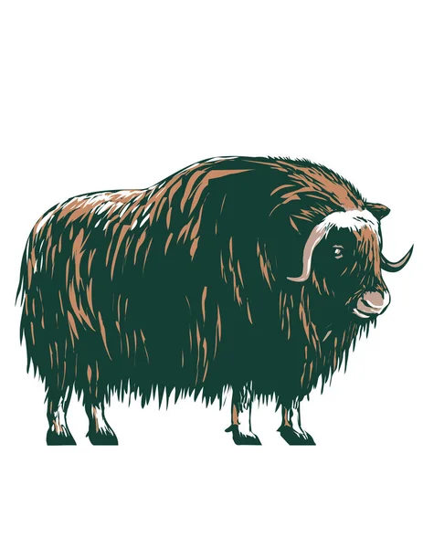 Wpa Poster Art Muskox Musk Musk Musk Oxen Hoofed Mammal — Stock vektor