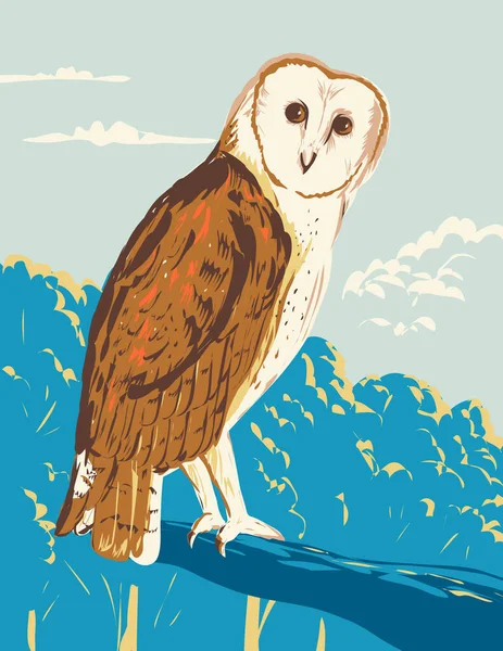 Wpa Poster Art American Barn Owl Tyto Furcata Perching Branch — Stock Vector