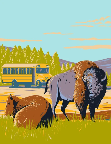 美国怀俄明州黄石公园草原的野生动物巴士游览和北美野牛或平原野牛海报艺术 以作品项目管理风格完成 — 图库矢量图片