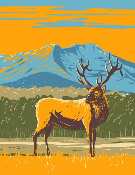 美国科罗拉多州北部落基山脉国家公园的麋鹿 金丝雀或壁虎的世界和平协会招贴画 以作品项目管理风格制作 — 图库矢量图片