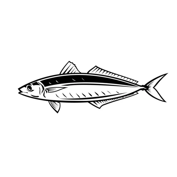 Иллюстрация Талисмана Круглой Рыбы Скумбрии Смотрящейся Сбоку Изолированном Фоне Черно — стоковый вектор