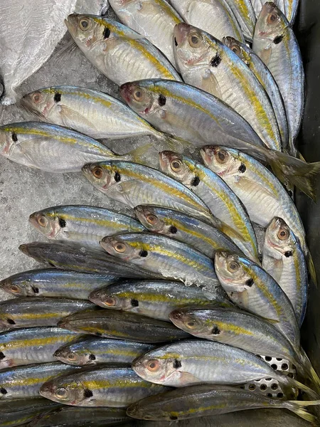 Photo Philippine Fish Salay Ginto Karabalyas Yellowstripe Scad Selaroides Leptolepis — Stock Photo, Image