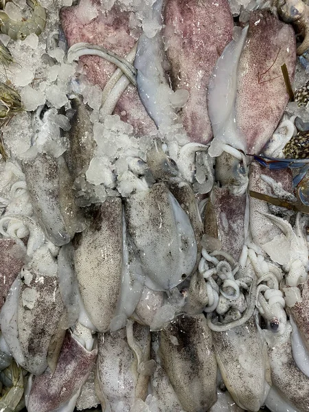 Photo Philippine Fish Nokus Nokos Pusit Lumot Squid — Stock Photo, Image