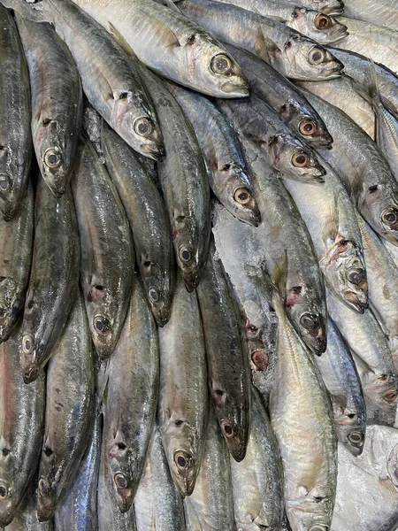 Photo Philippine Fish Galunggong Balsa Kawayanon Decapterus Macrosoma Blue Mackerel — Stock Photo, Image