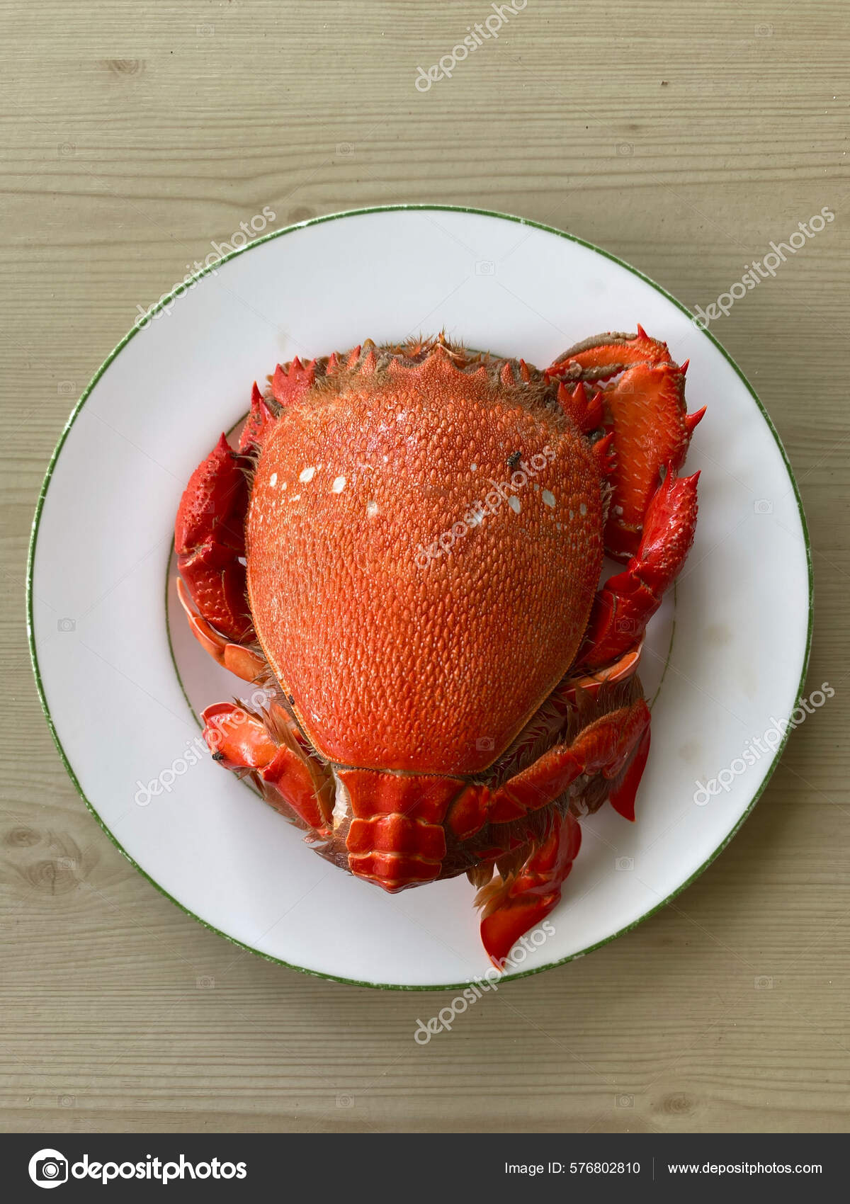 Photo Cooked Curacha Spanner Crab Red Frog Crab Ranina
