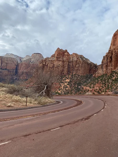 Photo Pine Creek Canyon Zion National Park Zion Park Blvd — Stok fotoğraf