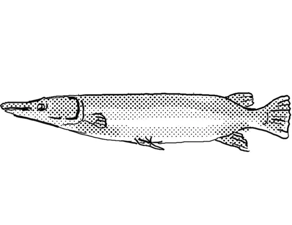 Cartoon style drawing of an alligator gar or Atractosteus spatula freshwater fish found in North America with halftone dots on isolated background in black and white.