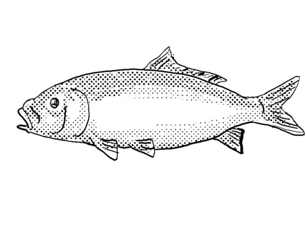 Cartoon style drawing of a bigmouth buffalo or Ictiobus cyprinellus freshwater fish found in North America with halftone dots on isolated background in black and white.