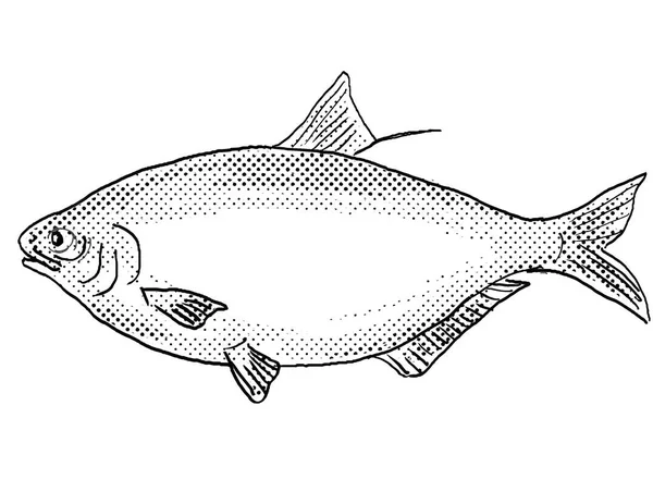 Рисунок Карикатурном Стиле Бигмута Буйвола Пресноводной Рыбы Ibobus Cyprinellus Найденной — стоковое фото