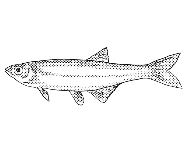 黒と白で隔絶された背景にハーフトーンドットを持つ北米で発見されたカーマインの輝きやNotropis Percobromus淡水魚の漫画スタイルの線画 — ストック写真
