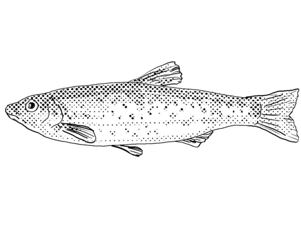 Cartoon style line drawing of a central stoneroller or Campostoma anomalum freshwater fish endemic to North America with halftone dots shading on isolated background in black and white.