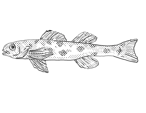 Cartoon Style Line Drawing Channel Darter Percina Copelandi Freshwater Fish — Stock Photo, Image