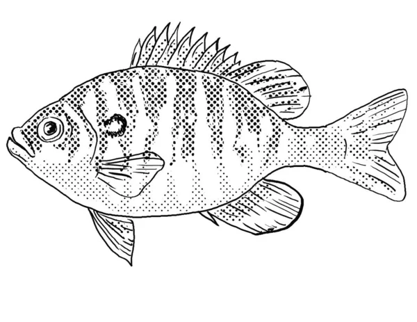 サンフィッシュまたはレポミス リモンタギューの線画北米固有の淡水魚で 黒と白で隔絶された背景に半ドットの陰影が付けられています — ストック写真