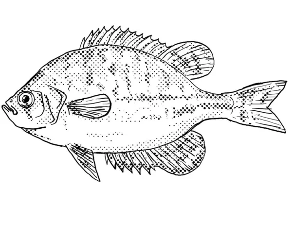 Disegno Stile Cartone Animato Volantino Centrarchus Macropterus Pesce Acqua Dolce — Foto Stock