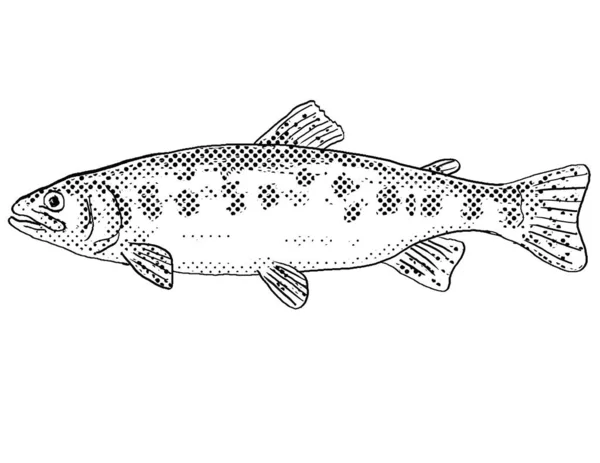 Cartoon Stijl Lijntekening Van Een Californische Gouden Forel Oncorhynchus Aguabonita — Stockfoto