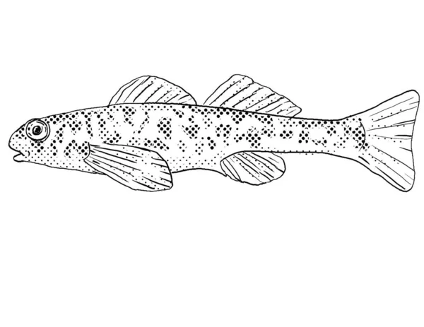 黒と白で隔絶された背景に半透明の点が影を潜めている北米固有の淡水魚 グリーンサイド ダーターやエテオストマ ブレニオイデスの漫画風線画 — ストック写真