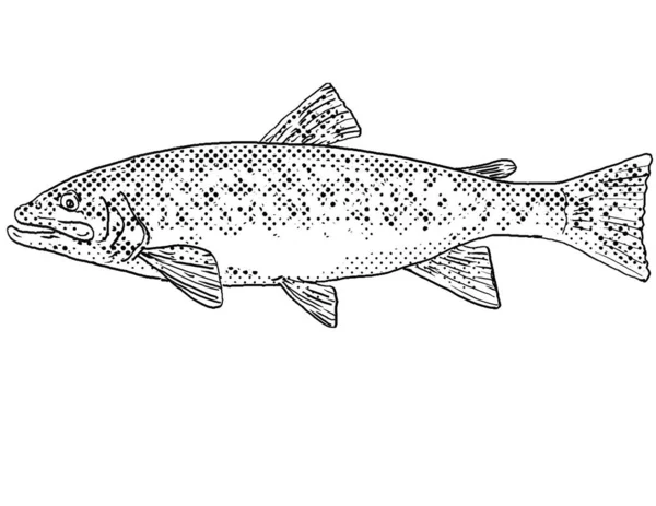 マスやサルベリヌス フォンティナリスの漫画風の線画は北米固有の淡水魚で 黒と白で隔絶された背景に半分の点が陰影をつけている — ストック写真