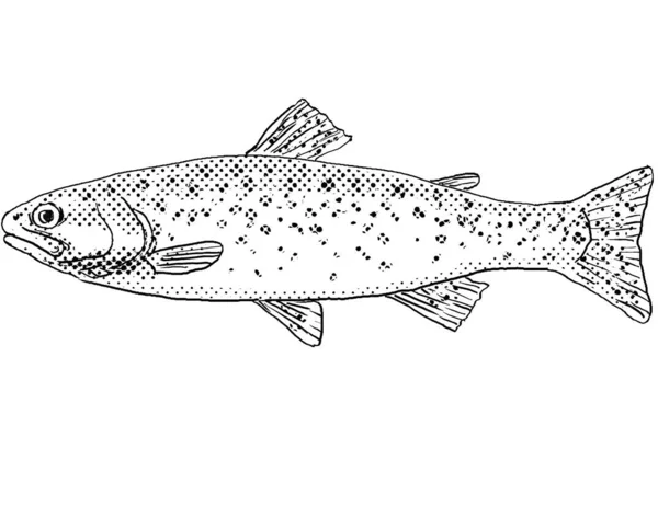北米固有の淡水魚で 黒と白で隔絶された背景にハーフトーンドットが陰影をつけて描かれた漫画風の線画 — ストック写真