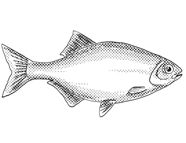 Rysunek Linii Stylu Kreskówki Hiodon Tergisus Lub Mooneye Ryby Słodkowodne — Zdjęcie stockowe
