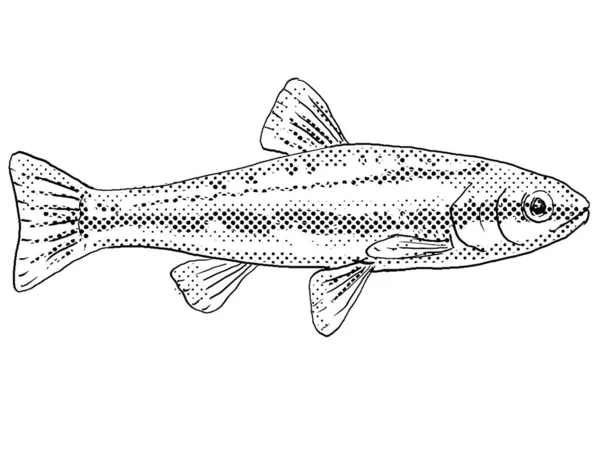 北米固有の淡水魚 ローレル ダンス クロソムス サヨリ を描いた漫画風の線画で 黒と白で隔絶された背景にハーフトーン ドットが陰影をつけている — ストック写真