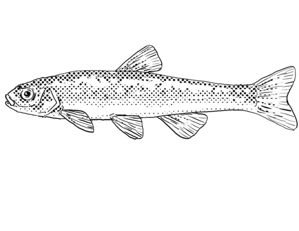 一种北美洲特有的淡水鱼 其背景呈半色调 背景为黑白相间 其卡通风格的线条画 — 图库照片