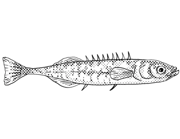 Картонний Стиль Креслення Ninespine Stickleback Або Pungitius Pungitius Spined Stickleback — стокове фото