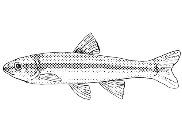 Cartoon Style Line Drawing River Chub Nocomis Micropogon Freshwater Fish — Stock Photo, Image