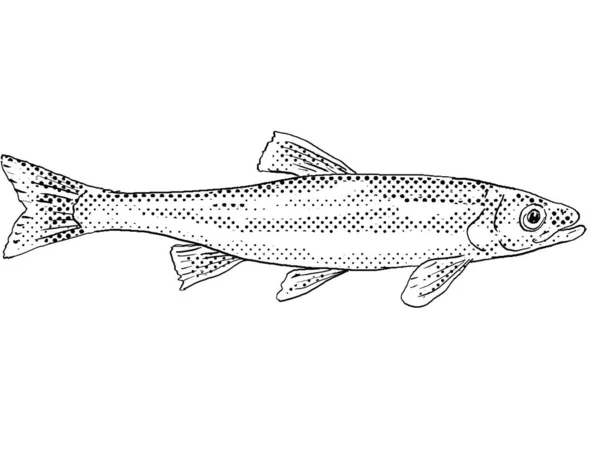 Рисунок Карикатурном Стиле Красного Дайса Clinostomus Elongatus Пресноводной Рыбы Северной — стоковое фото