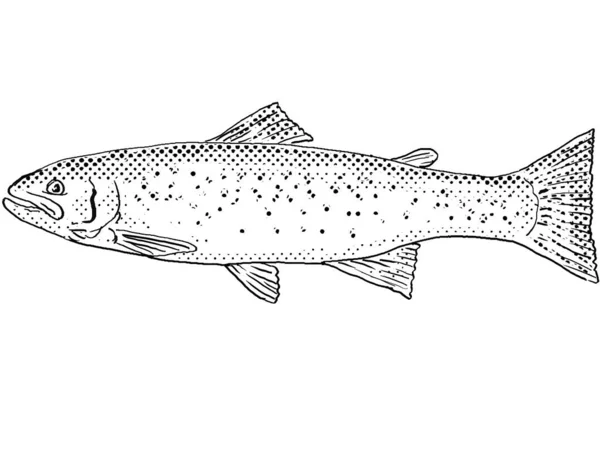 Cartoon Style Line Drawing Rainbow Trout Oncorhynchus Mykiss Steelhead Freshwater — Stock Photo, Image