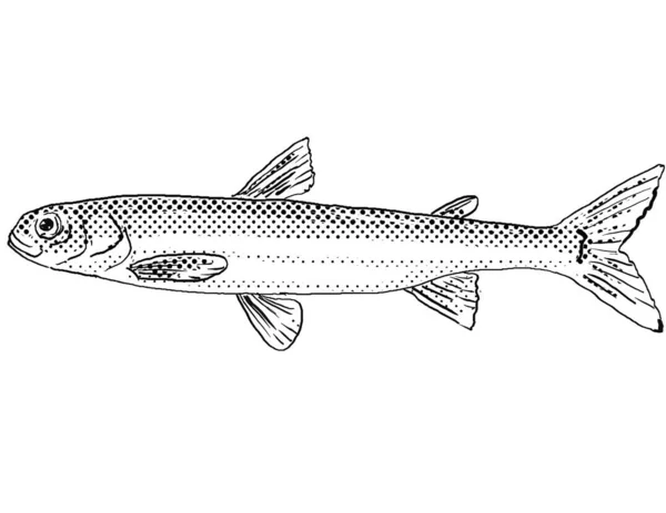 北米固有の淡水魚で 黒と白で隔絶された背景にハーフトーン ドットが陰影をつけて描かれた ピグミー スメルトやオスメロス スペクトルの漫画風の線画 — ストック写真