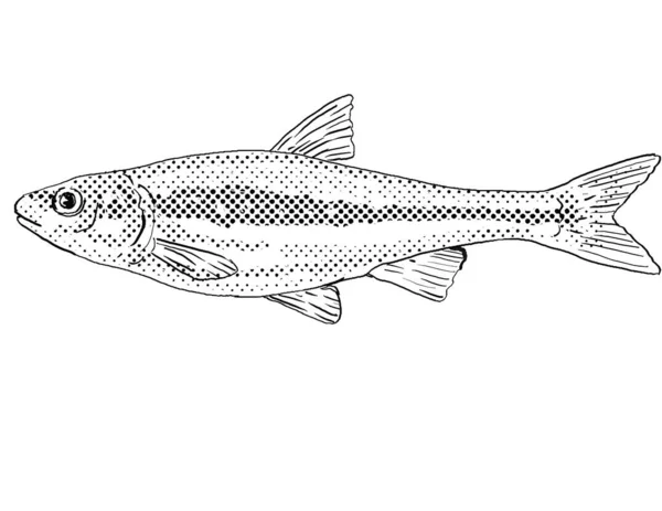 北米固有の淡水魚で 黒と白で隔絶された背景に半透明の点が陰影をつけて描かれたシルバージョー ミノやエリシンバ ブッチータの漫画風の線画 — ストック写真