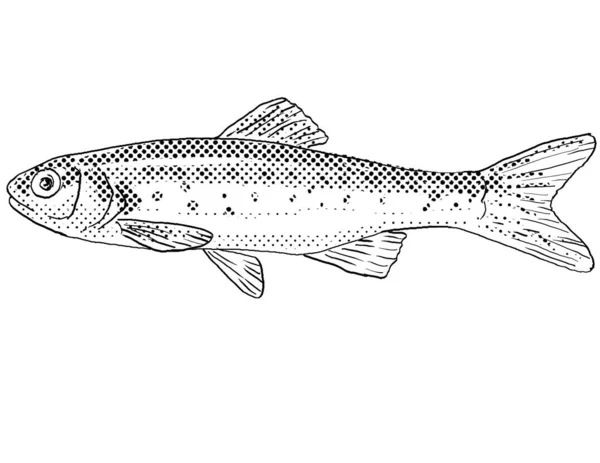 南革のチャブやレポメダの漫画風の線画は 黒と白で隔絶された背景に陰影の半分ドットと北米に固有の淡水魚をAliciae — ストック写真