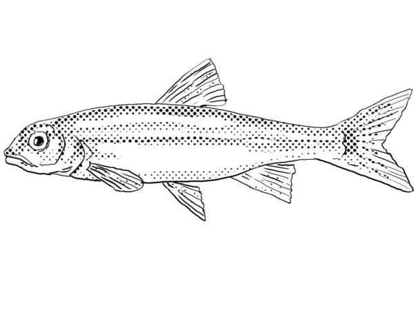 一种产于北美的淡水鱼 其背景呈半色调 背景是黑白相间的 其卡通风格的线条上有一个突出的尾尖或突出的尾尖 — 图库照片