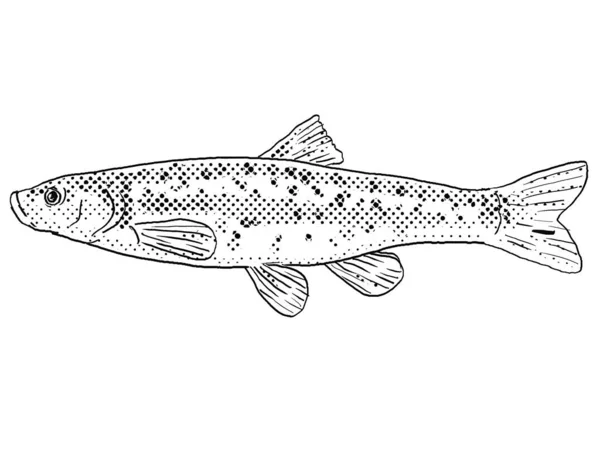 黒と白で隔絶された背景の上に半分の点が陰影をつけている北米固有の淡水魚である西洋黒鼻ダンスやサイのオブタスの漫画スタイルの線画 — ストック写真